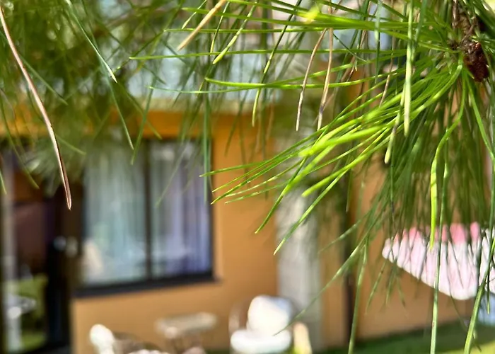 酒店 Boulevard Sea Residenz 250 Meter Zum Sandstrand