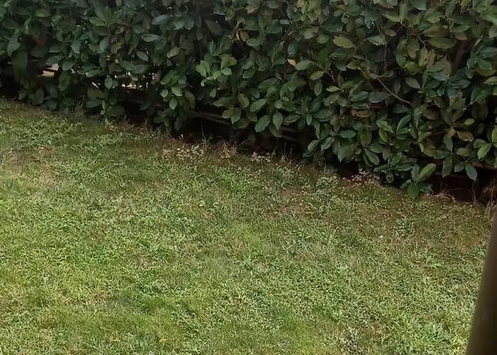 Boulevard Sea Residenz 250 Meter Zum Sandstrand Hotel