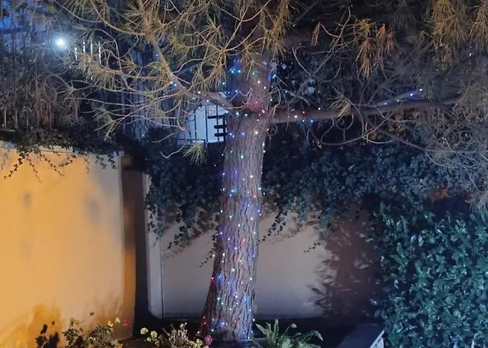 Boulevard Sea Residenz 250 Meter Zum Sandstrand Sluneční pobřeží