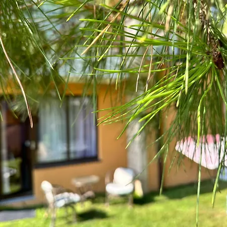 فندق Boulevard Sea Residenz 300 Meter Zum Sandstrand