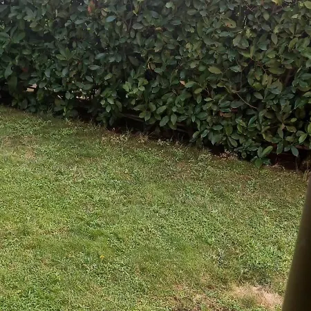 Boulevard Sea Residenz 300 Meter Zum Sandstrand فندق