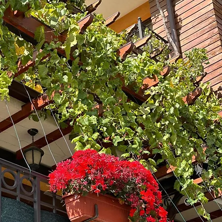 فندق Boulevard Sea Residenz 300 Meter Zum Sandstrand 5*