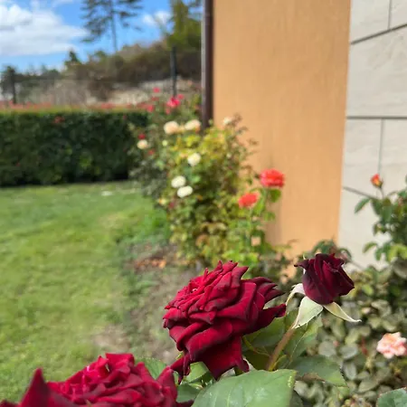 فندق Boulevard Sea Residenz 250 Meter Zum Sandstrand