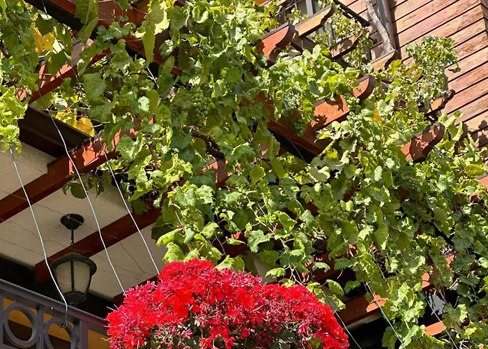 Szálloda Boulevard Sea Residenz 250 Meter Zum Sandstrand 5*