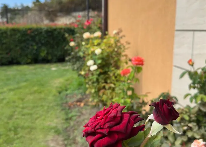 Отель Boulevard Sea Residenz 250 Meter Zum Sandstrand